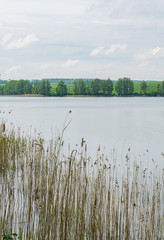 Beautiful view of the lake, sky, trees and water grass. Spring, Mazury, Poland.