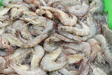 Fresh shrimp for cooking at street food