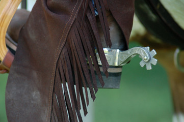 Reining