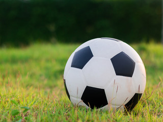 Fototapeta premium football put on grass in the park