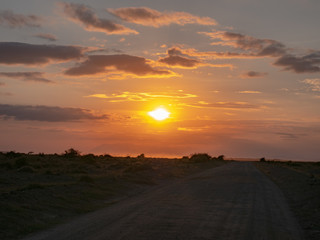 Amboseli National Park Panoramic, Kenya