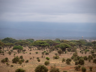 Amboseli National Park Panoramic, Kenya