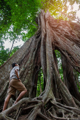 Man standing looking at giant tree in rain forest at betong is the southernmost district (amphoe) of Yala Province, southern Thailand.
