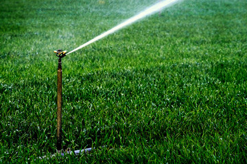 Fototapeta premium Sprinkler Irrigation System Spraying Water on Field