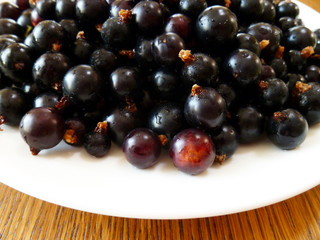Blackcurrant berries.White plate full of freshly harvested and washed fresh ripe black currant.  Healthy food, berry snack dessert. Closeup. Summer background.