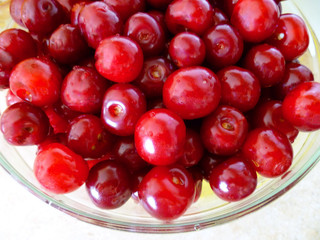Ripe Red Sweet Cherries in metal colander with water drops isolated on white. Close-up of fresh red sweet cherries in metal colander on white surface. Fresh summer background. 