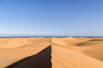 Fototapeta na wymiar Endless sand and beauty