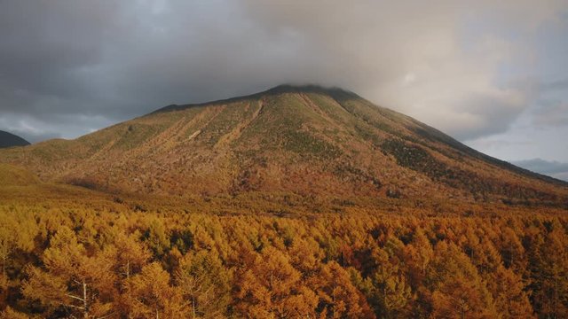 美しい秋の風景　山 森 ドローン 空撮 日光 戦場ヶ原 紅葉 4k 動画
