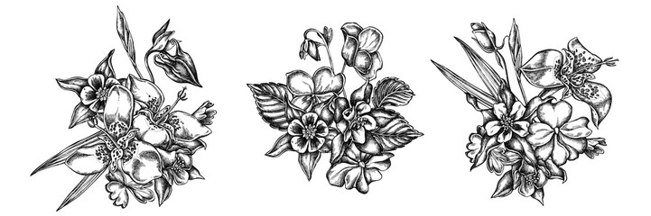 Flower bouquet of black and white impatiens, tigridia, aquilegia