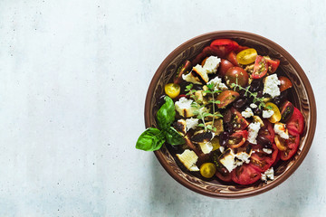 Italian traditional Tuscan panzanella salad with fresh tomatoes and cheese in clay plates. authentic Mediterranean healthy food