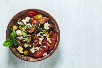 Italian traditional Tuscan panzanella salad with fresh tomatoes and cheese in clay plates. authentic Mediterranean healthy food