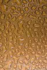 Liquid water droplets on a copper background