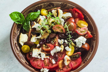 Italian traditional Tuscan panzanella salad with fresh tomatoes and cheese in clay plates. authentic Mediterranean healthy food