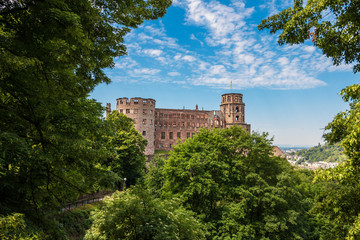 Fototapeta na wymiar Blick zum Schloss