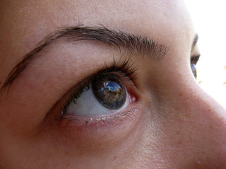 Fototapeta na wymiar Close up of female brown eyes wearing blue lenses, outdoor, bright day, freshly plucked eyebrows