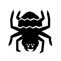 Tarantula Icon Vector