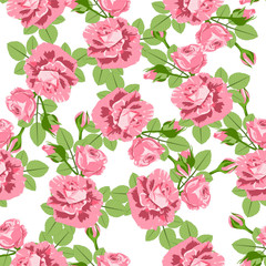 Roses flowers seamless pattern. Vector illustration, EPS10