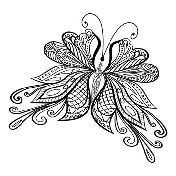 Hand drawn doodle element butterfly in vector. Ethnic design. Black and white version. EPS 10
