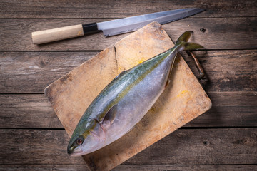 Hamachi fish waiting to be dissected