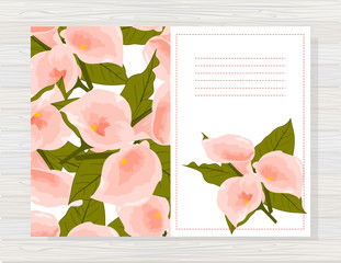 Beautiful background with calla  flowers and space for text. Vector illustration. EPS 10