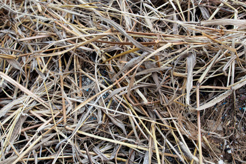haystack straw photo