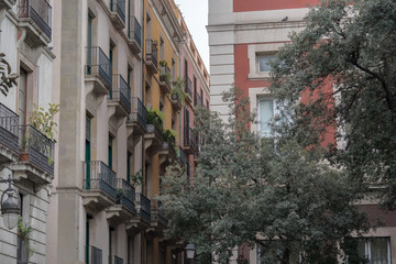 Fototapeta premium in the streets of Barcelona