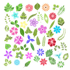 Fototapeta premium Set of colored flowers and leaves isolated. Vector illustration. EPS 10.