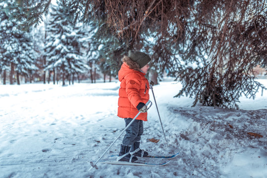 Little boy is 3-4 years old, winter children's skis first steps skis, active image of children. Background snow drifts trees. Free space learning sport young children happy childhood fresh air nature.
