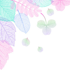 Beautiful background with  leaves . Vector illustration. EPS 10