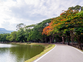 Land scape of beautiful natural scene, blossom  trees surrounded the reservoir.