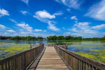 wooden bridge over lake blue skies