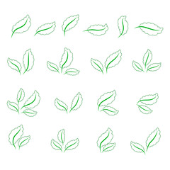set of isolated green leaves icons on white background