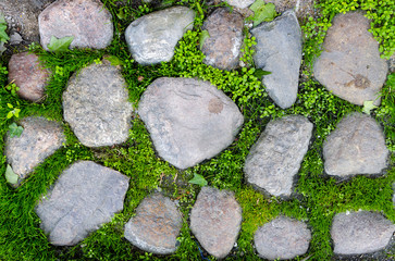 Fragment of the old road paved with grass