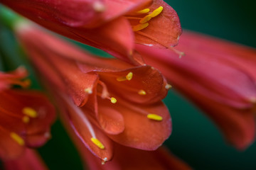 in the streets of Barcelona