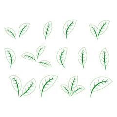 Set of green leaves design elements. Green sprout green leaves symbol icon set.