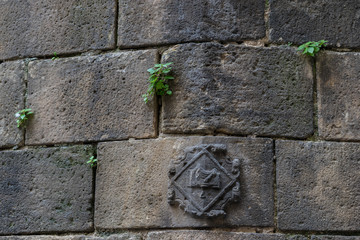 in the streets of Barcelona