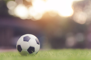 Fototapeta premium Soccer ball on grass green field with copy space