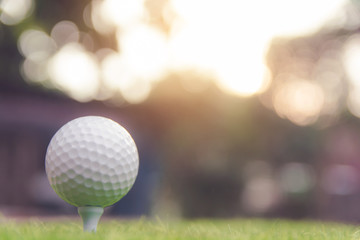 Golf ball on green grass ready to play at golf course. with copy space