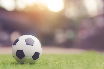 Fototapeta na wymiar Soccer ball on grass green field with copy space