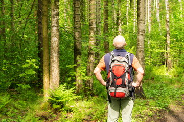 man hiking in the forest
