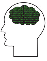 Contour of human head