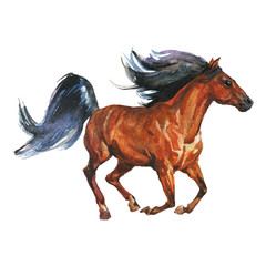 Watercolor running horse © Cincinart