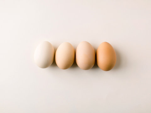 Four eggs on blush background of varying colors