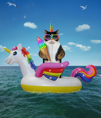 The cat in sunglasses eats rainbow ice cream on the inflatable circle in the open sea