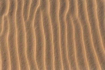 Fototapeta na wymiar Sandy sand pattern on the beach