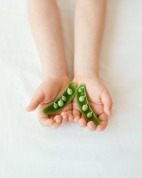 Hands of child with opened pod