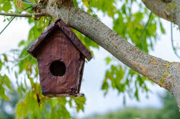 Pretty little wooden house for birds