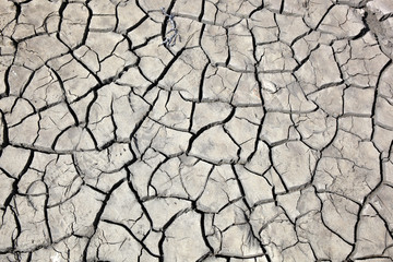 Cracked dry clay soil