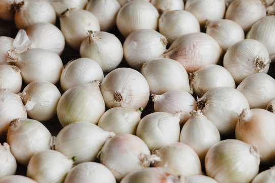 Display of white onions