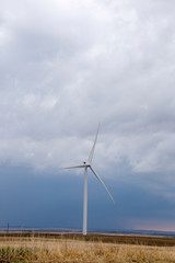 Fototapeta premium Prairie Wind Farm